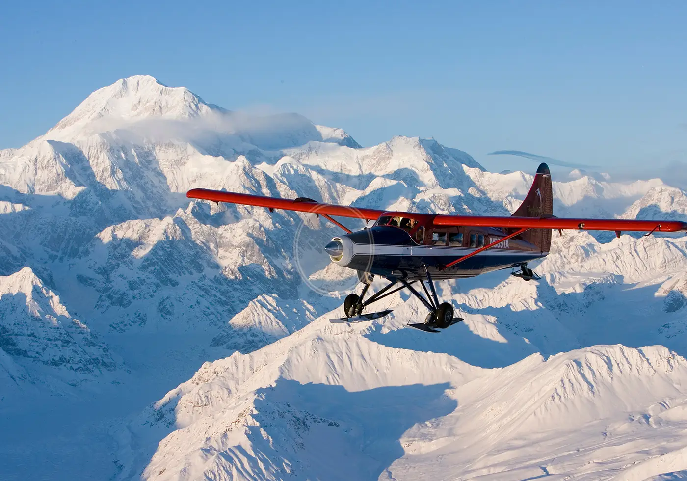 Denali Flightseeing