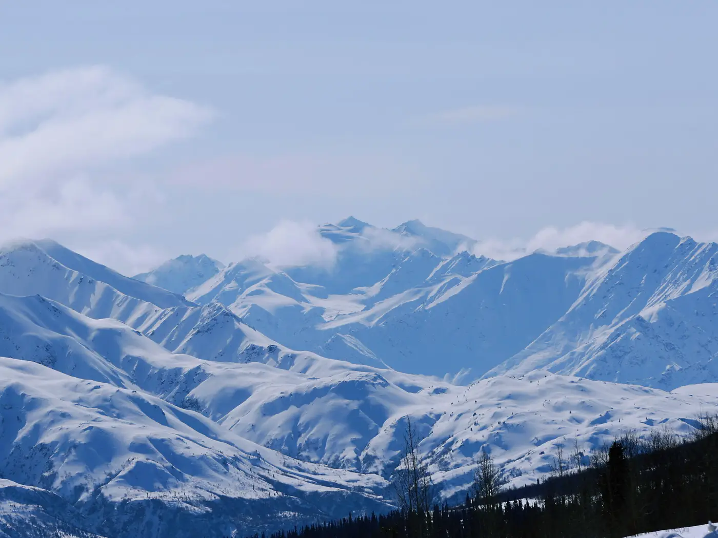 Guided Snowshoeing