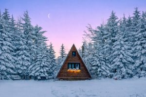 Cabins for Rent Near Anchorage, Alaska: A Local’s Guide to Finding the Right Stay